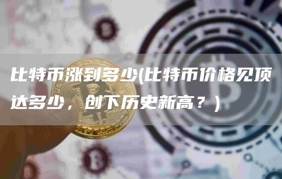 比特币涨到多少 - 比特币价格见顶达多少，创下历史新高？